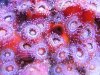 2009_071208729timelapse0012.JPG