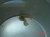 DSC09475.jpg