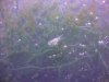 DSC00032.JPG