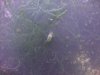 DSC00034.JPG