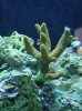 DSC00013.JPG