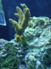 DSC00014.JPG