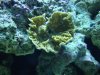 DSC00019.JPG
