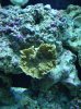 DSC00018.JPG