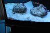 DSC_0031.jpg