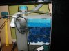 wet-dry and skimmer.jpg