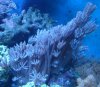 DSC02717.jpg