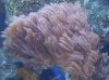DSC01735.jpg