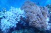 DSC02376.jpg