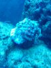 IMG00080-20090725-2142.jpg