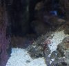 100_3718_2.jpg