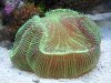 100_3715_2.jpg