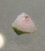 TopView.jpg