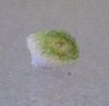 Underside.jpg