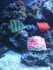 IMG_0374.jpg