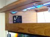 DSC01639.jpg