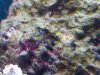 IMG00131-20090801-1814.jpg