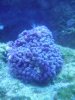 waterproff cam 098.jpg