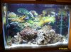 july 14 2009 025.jpg