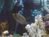 july 14 2009 030.jpg