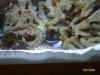june 26 2009 265.jpg