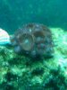 IMG00142-20090803-1700.jpg