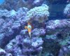 DSC02758.jpg