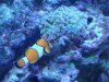 DSC02777.jpg