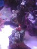 Picture 016.jpg