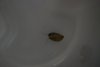 DSC_3310.JPG