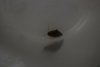 DSC_3312.JPG