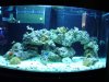 DSC00026.JPG