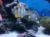 DSC00708.jpg