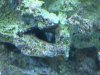 IMG00027-20090807-1545.jpg