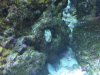 IMG00028-20090807-1546.jpg