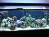 IMG00031-20090807-1550.jpg