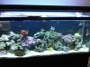 IMG00030-20090807-1550.jpg