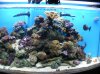SANY0002(2).jpg