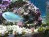 aquarium 005.jpg