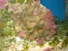 aquarium 002.jpg
