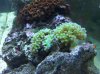 IMG00033-20090818-1818.jpg