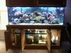 my tank 1.jpg