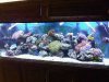 my tank 3.jpg