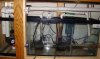 DSC02791.jpg