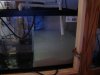 DSC02805.jpg