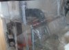 DSC02814.jpg