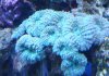 DSC02595.jpg