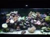 DSCF1640a.JPG