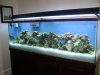 DSC01928.jpg