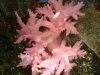 DSC04166.jpg